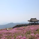 황매