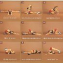 웰빙스트레칭 Daum카페