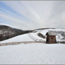 청춘목장 이미지