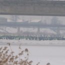 진우농장 이미지