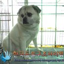 가양1동주민센터 이미지