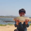 칠전팔기 이미지