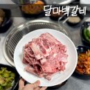 달마백갈비