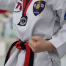 유아태권도 이미지