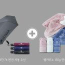 (주)벨카리노 이미지