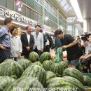 경기도 400여 개 전통시장 동시 ,‘2025 경기 살리기 통큰세일’ 개막 이미지