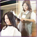 헤어미용사 이미지