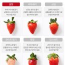 동탄산단3길 | 수플린 / 설향 딸기 카카오톡 선물하기 후기 – 생일 선물로 받은 달콤함