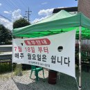 여주-0078 | 춘천 현지인 추천 맛집 '초가뭉텅찌개' 솔직 후기