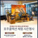 (주)월드컬렉션 이미지