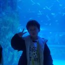 경희대박사 문무태권도장 이미지