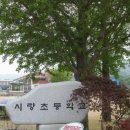 시량초등학교 이미지