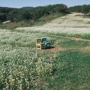 관광 꿈꾸는숲 펜션 이미지