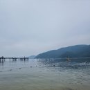 명사해수욕장 주차장 | 애견동반, 무료입장 가능한 거제 댕수욕장, 명사해수욕장 후기
