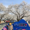 흥무로1(가운데) 네이버블로그
