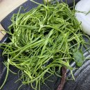 풍년골더덕생삼겹살 이미지