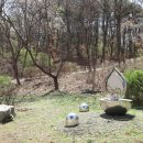 금빛근린공원 이미지