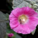 예당한의원 이미지