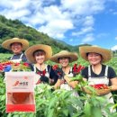 농업회사법인 정직한농부 주식회사