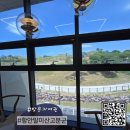 함안 말이산고분군 | 아라가야의 역사를 볼 수 있는 <함안 말이산 고분군> 방문자 여권 후기