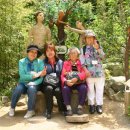 진명허브 이미지