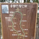 용두산 청과 Daum카페