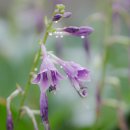 성동구청 이미지