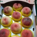 병준농장 네이버블로그