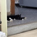 사곡6 3소교량 | 공주 (곰골식당 솔직후기, 나태주 풀꽃 문학관, 바므...궁중떡집, 제일유통, 베이커리밤마을, 사곡양조원)