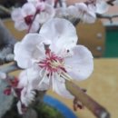 컴퓨터휴게실 이미지