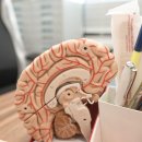 서울아산신경과의원 이미지