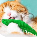 미미애견 이미지