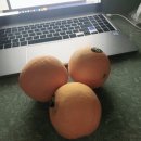 수덕펜션 이미지