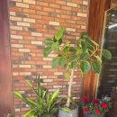 카페죽헌길 | 해장 맛집 강릉맛드린 순두부해장국&amp;감자탕 방문 후기,강릉 오죽헌 맛집강릉 순두부 아침 식사 맛집강릉...