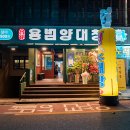 대전 둔산동 대창/막창 맛집, 용범양대창 후기