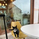 선덕여고앞 | 경주여행 선물추천 황리단길 월지빵 인생소금빵 등극 후기