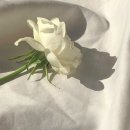 빗과가위 - 목포시 백년대로297번길 22-2 | 빗과가위