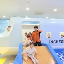 🚨 풀잎반의 국민안전체험관 견학 🚨 이미지