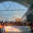 자원봉사센터 이미지