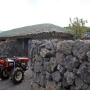 조천연대 이미지