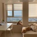 치치하우스 이미지