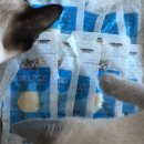 (주)급식대장