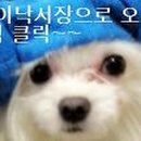 바삭바삭쫀득쫀득