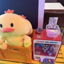 헬로 치킨호프 이미지