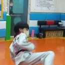 성웅태권도 이미지