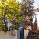 서홍동 서귀포 보건소 옆 이미지