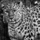 화이트약국 이미지