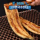 통통민물장어