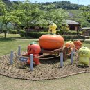 단감테마공원 이미지