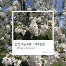 진안군교육지원청 | 진안귀농귀촌 지역민 실용교육 | 사과농장 방문했어요! (ft.백운동 순대)
